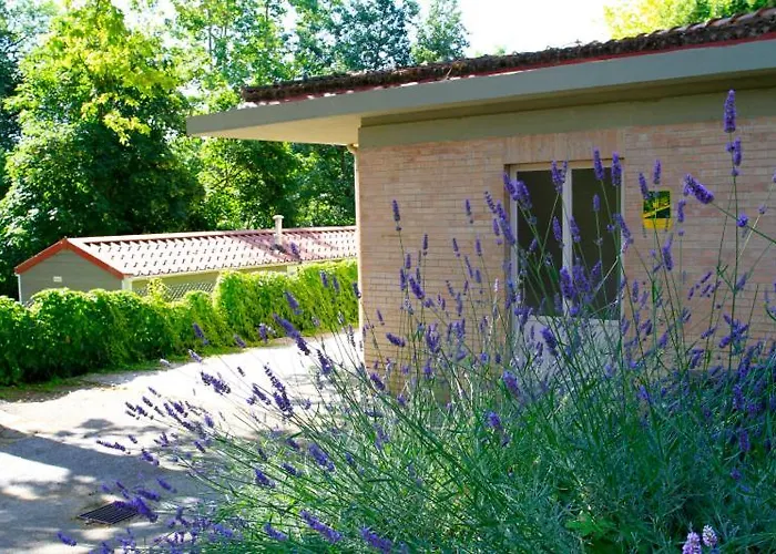 Campsite Colleverde 3*