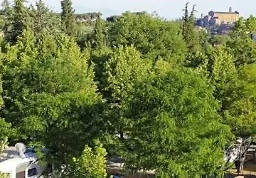 Campsite Colleverde Siena