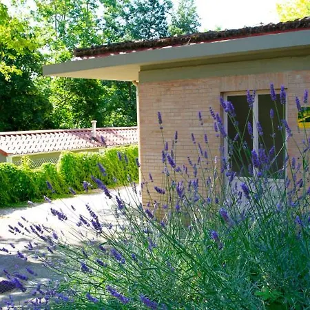 Campingplads Colleverde 3*