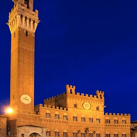 캠프장 캠핑 콜레베르데 3*